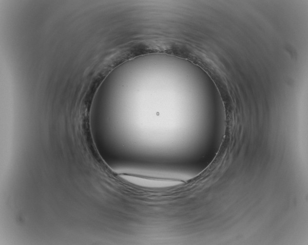 X0000115660229200911121220