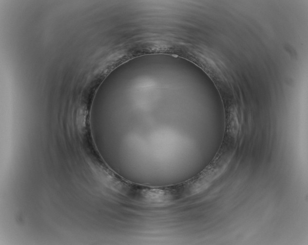 X0000115660230200911121220