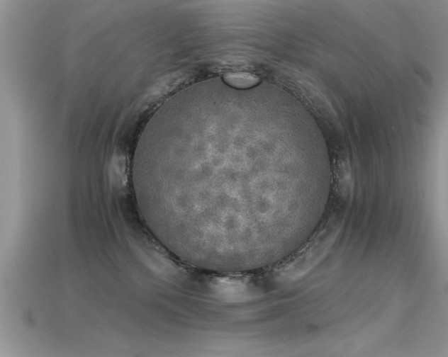 X0000115660232200911121220