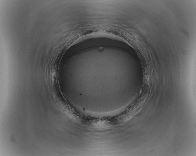 X0000115660235200911121220