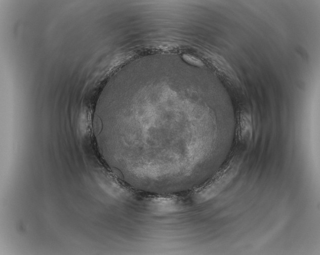 X0000115660236200911121220