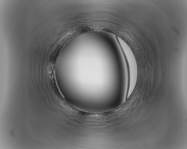 X0000115660237200911121220