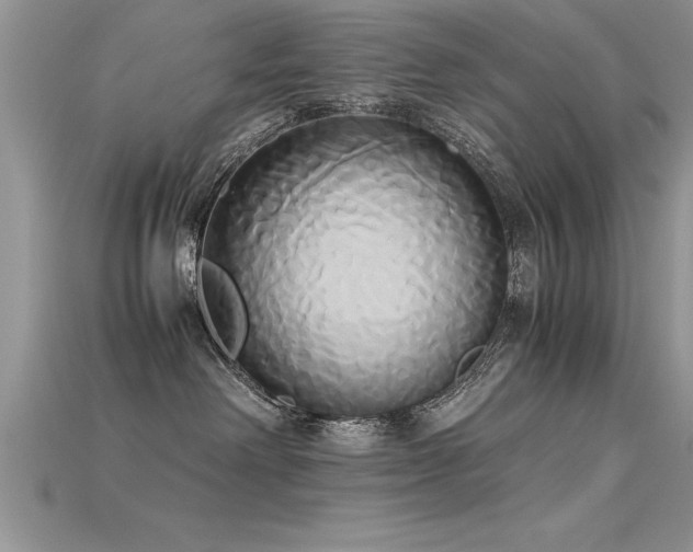 X0000115660238200911121220