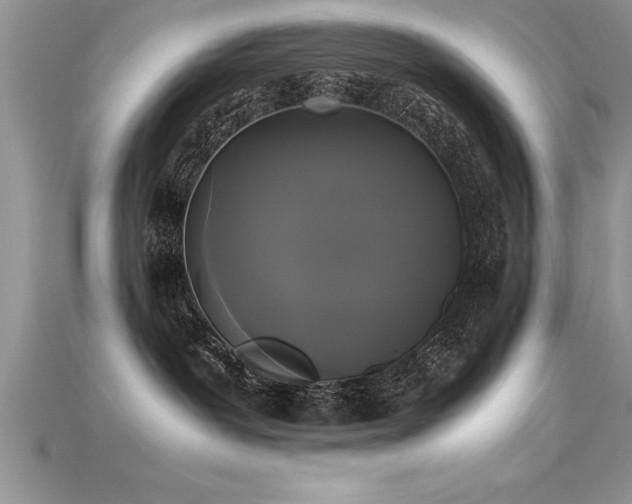 X0000115660239200911121220