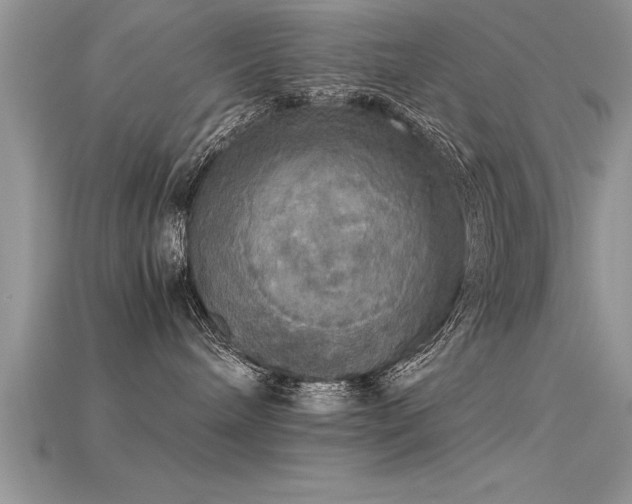 X0000115660240200911121220