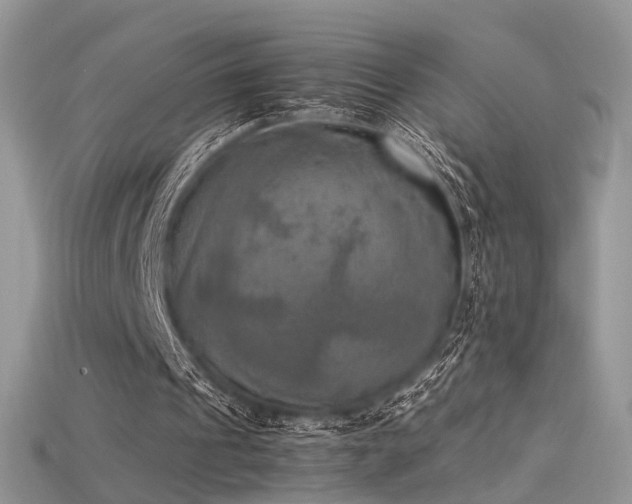 X0000115660241200911121219