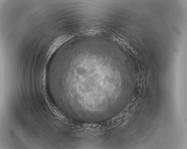X0000115660242200911121219