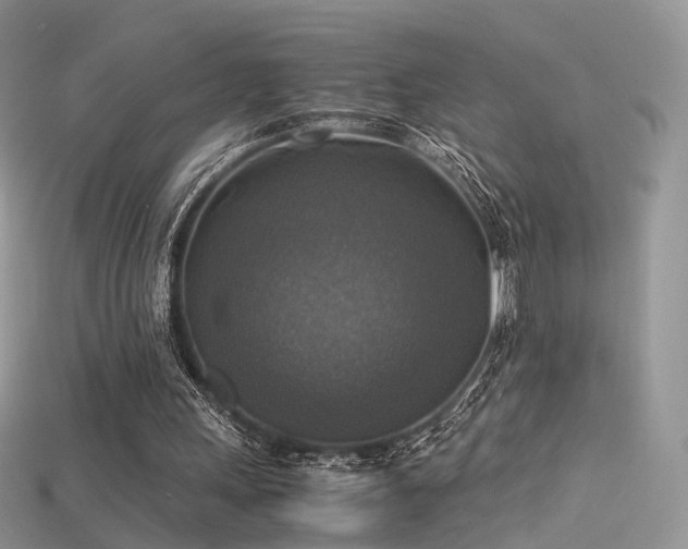 X0000115660243200911121219
