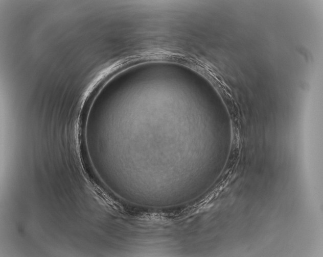 X0000115660244200911121219