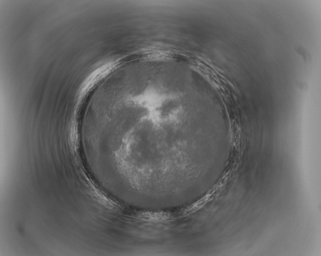 X0000115660245200911121219