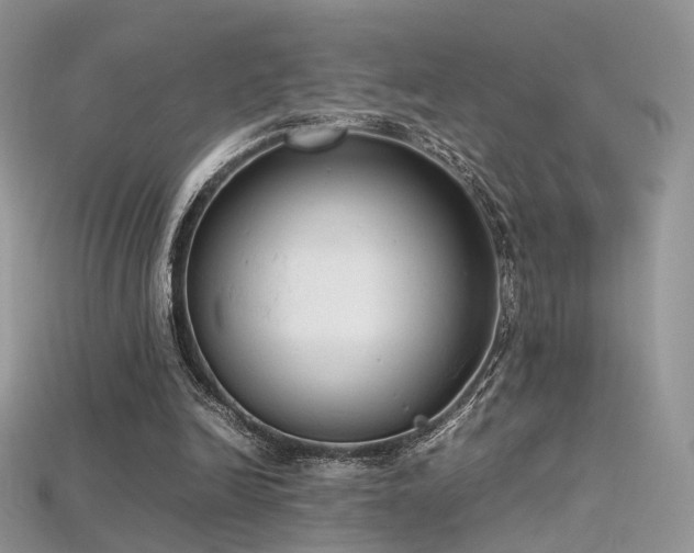 X0000115660246200911121219