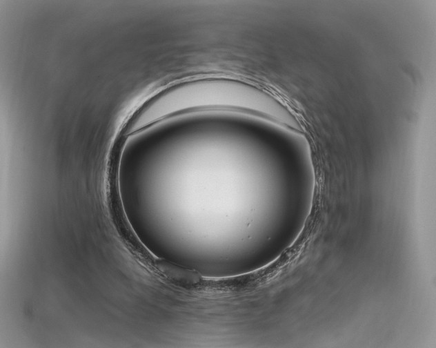 X0000115660248200911121219
