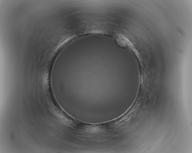 X0000115660249200911121219