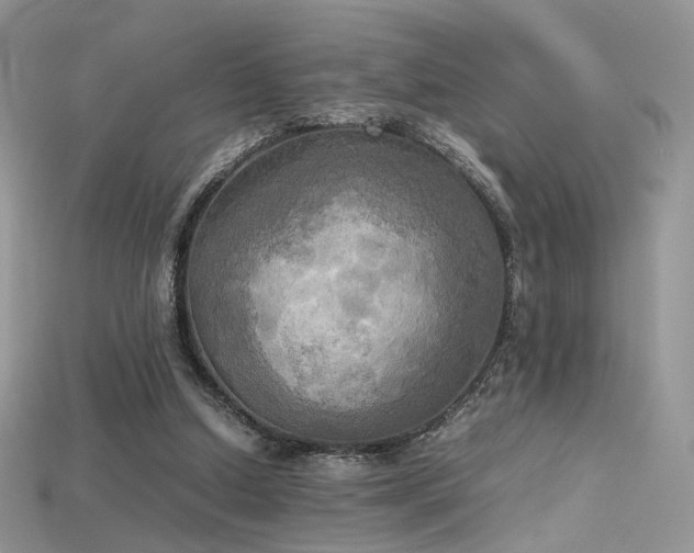 X0000115660250200911121219