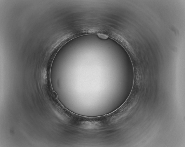X0000115660251200911121219