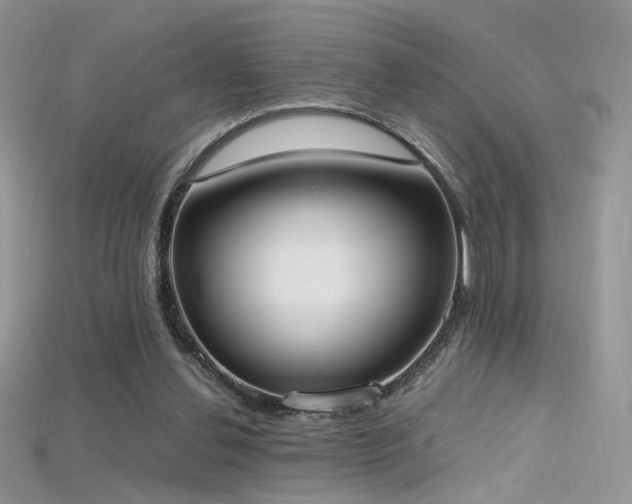 X0000115660252200911121219
