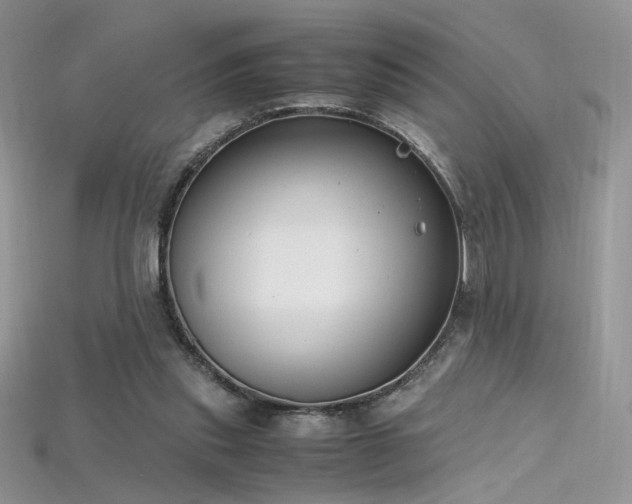 X0000115660253200911121219