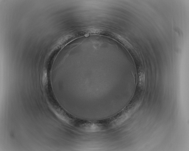 X0000115660254200911121219