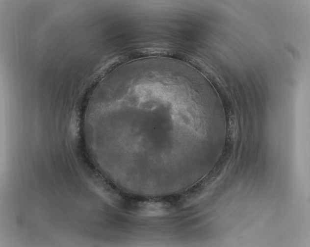 X0000115660255200911121219