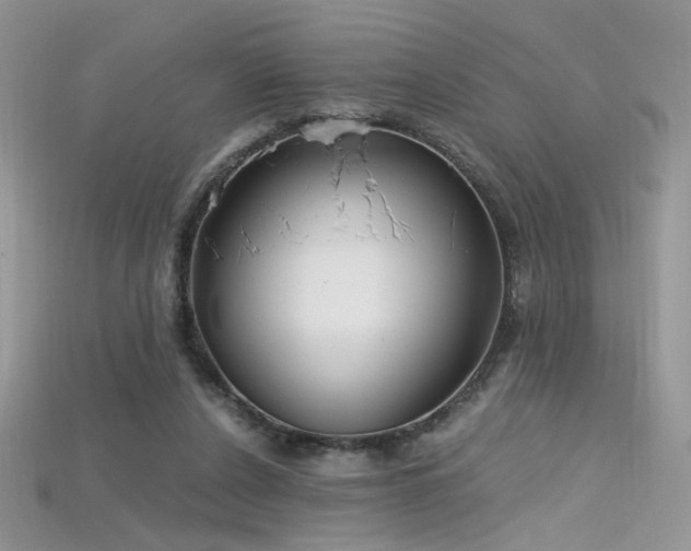 X0000115660256200911121219