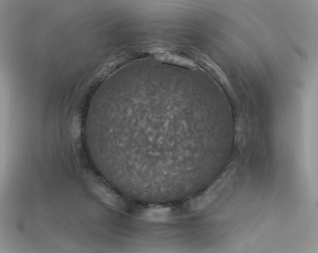 X0000115660257200911121219