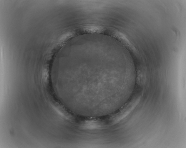 X0000115660259200911121219