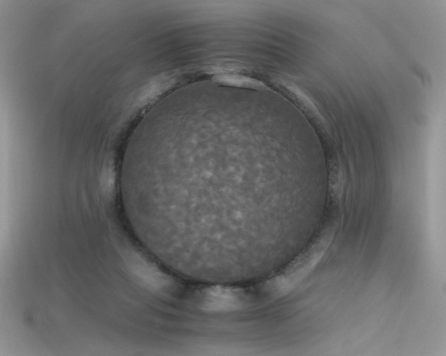 X0000115660261200911121220