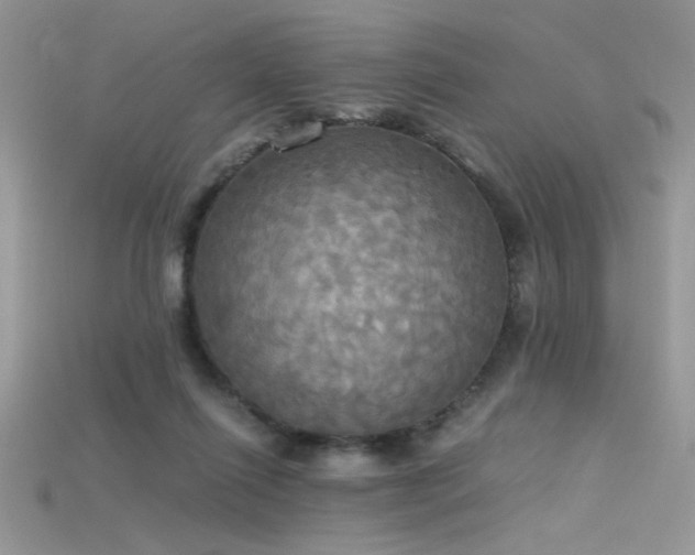 X0000115660262200911121220