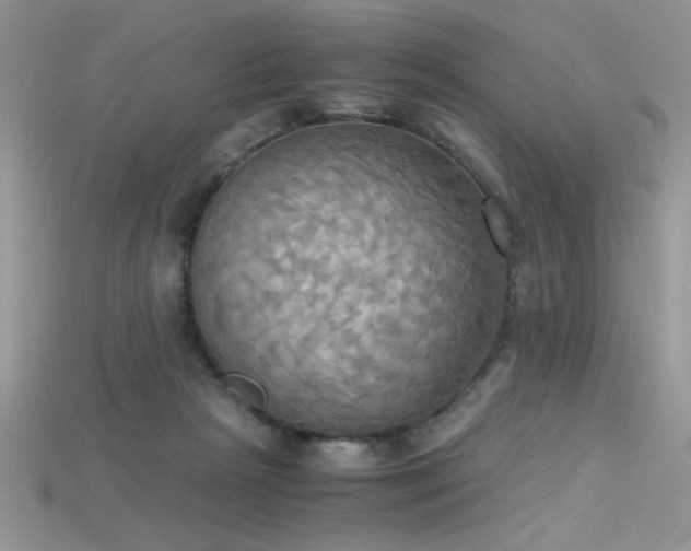 X0000115660265200911121220