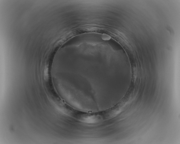 X0000115660267200911121220