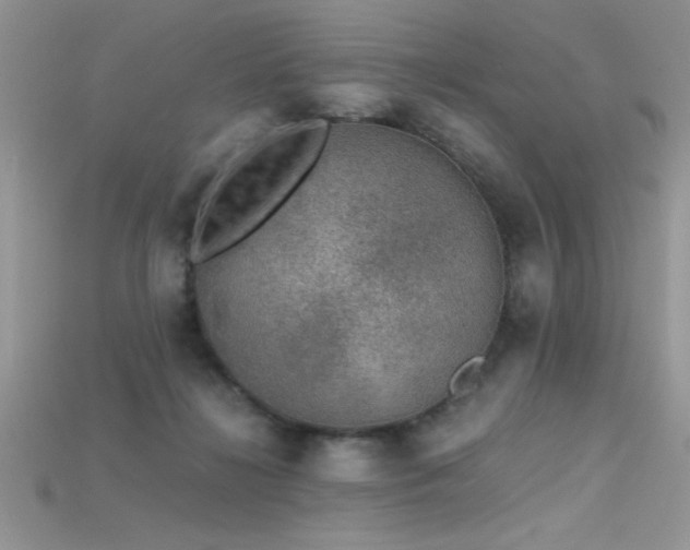 X0000115660268200911121220
