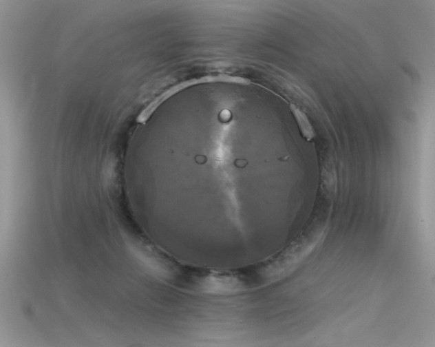 X0000115660270200911121220