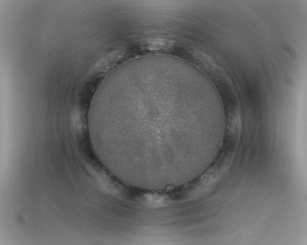 X0000115660272200911121220