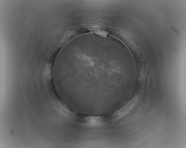 X0000115660273200911121220