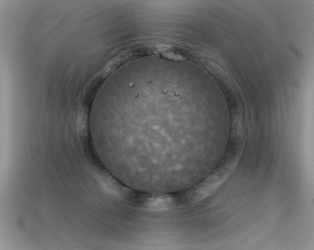 X0000115660274200911121220
