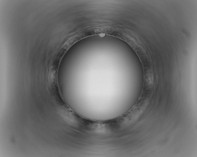 X0000115660276200911121220