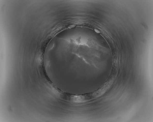 X0000115660277200911121220