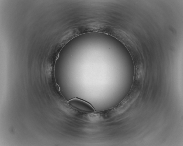 X0000115660279200911121220