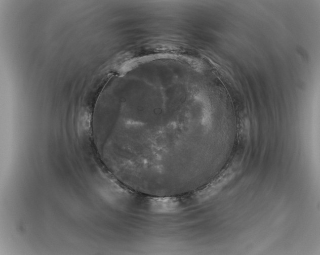 X0000115660281200911121220