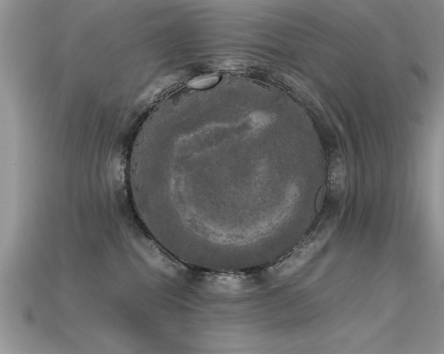 X0000115660282200911121220