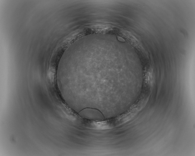 X0000115660283200911121220