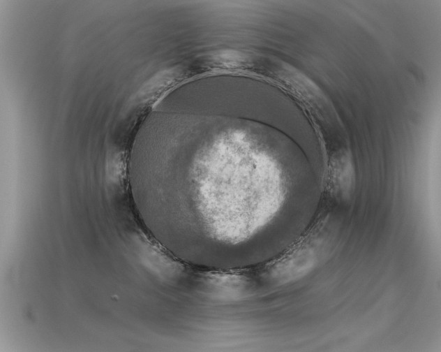 X0000115660284200911121220