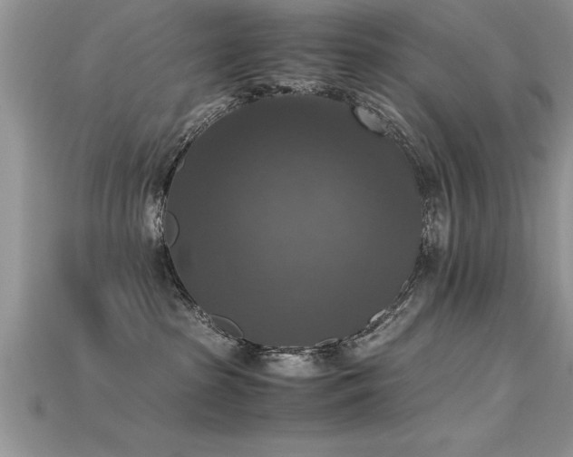 X0000115660285200911121220