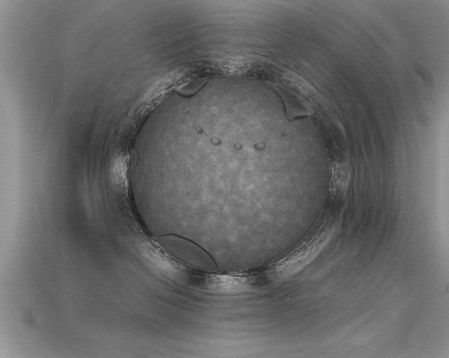 X0000115660286200911121220