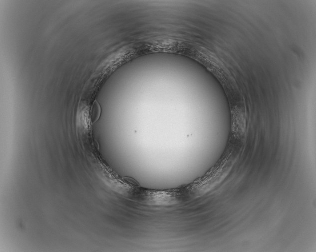 X0000115660287200911121220