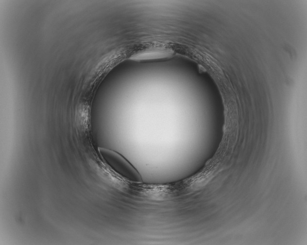 X0000115660288200911121220