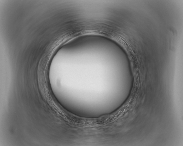 X0000115660289200911121219