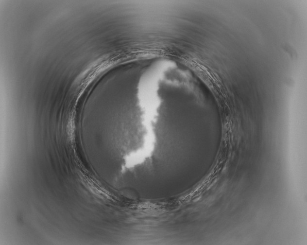 X0000115660290200911121219