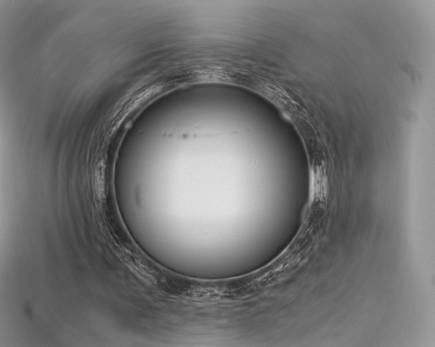 X0000115660291200911121219