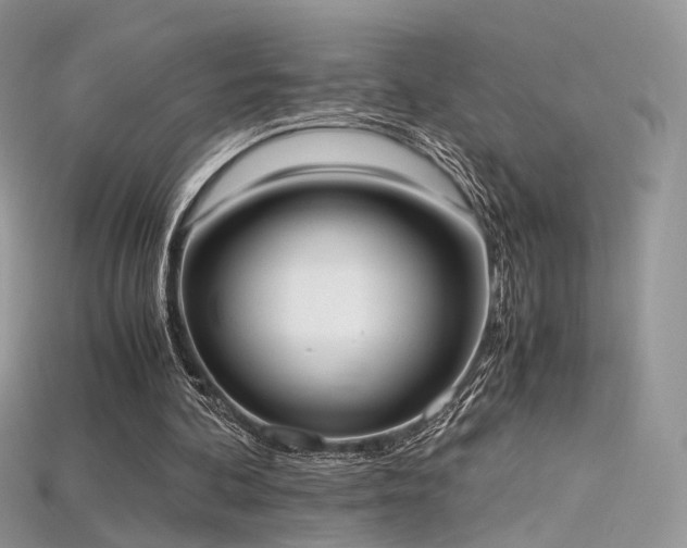 X0000115660292200911121219